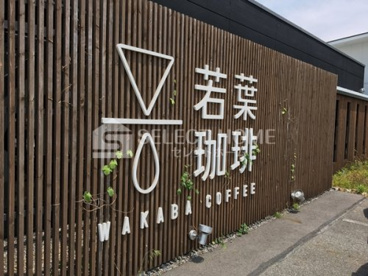 若葉珈琲 土井店の画像2