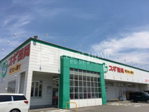 スギ薬局中島店