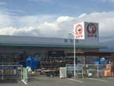 コメリハード＆グリーン 八田店
