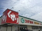 スギ薬局針崎店