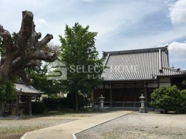 正覚寺の画像2