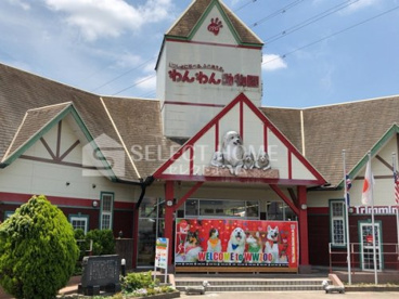 IPC(アイピーシー)わんわん動物園の画像1