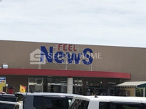 FEEL News(フィールニュース)