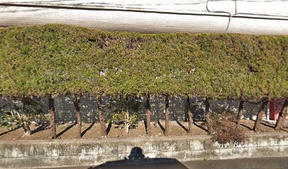 岡本医院の画像1