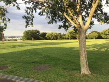 長坂谷公園の画像1