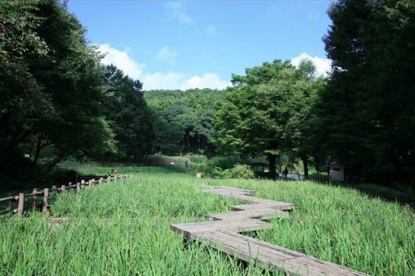 神奈川県立 四季の森公園の画像1