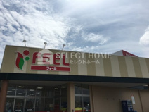 フィール岡崎柱町店