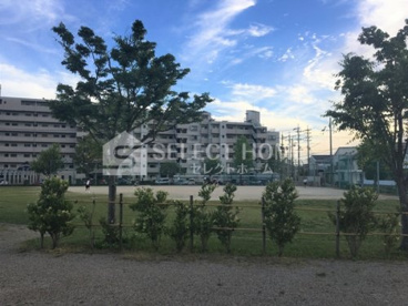 大久後公園の画像1