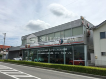 ALFA ROMEO(アルファ ロメオ) 岡崎