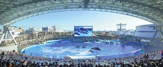名古屋港水族館