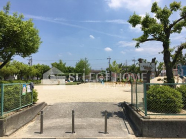 江口公園の画像1