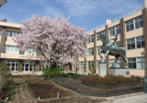 大和市立大和中学校