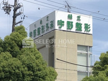 宇野整形外科