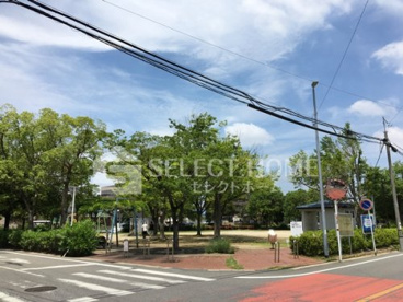 祈祷野公園の画像1