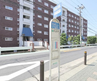 さくらが丘入口バス停の画像1