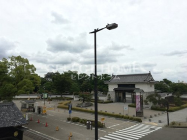 岡崎公園の画像5