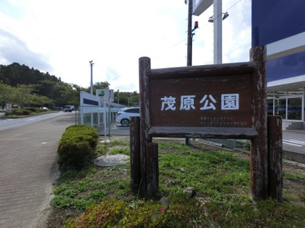 茂原公園