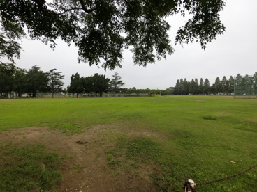 富士見公園の画像1