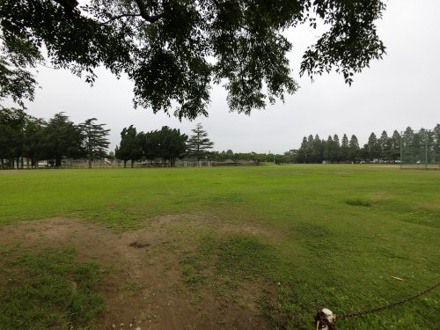 富士見公園