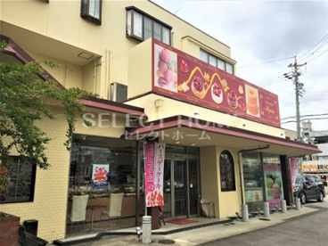 アルピーノ 八帖本店の画像1