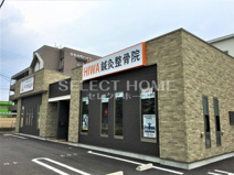 HINA鍼灸整骨院