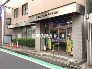 川崎信用金庫 向河原支店の画像1