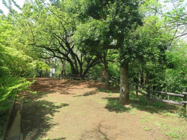 久末緑地の画像1
