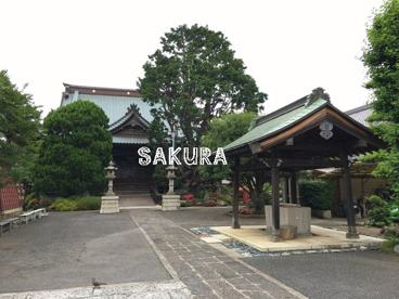 泉澤寺の画像1