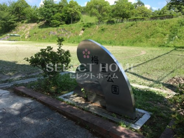 梅園公園の画像3