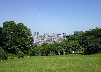 日吉公園の画像1