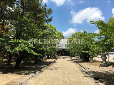 大樹寺の画像2
