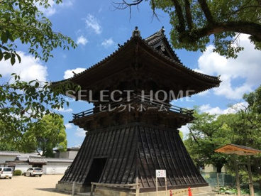 大樹寺の画像3