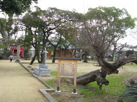 竹渕神社の画像3