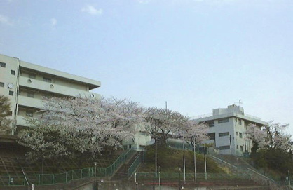 屏風浦小学校の画像1