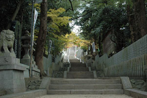恩智神社の画像1