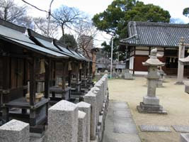 渋川神社の画像3