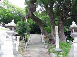 玉祖神社の画像2