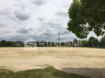 矢作公園の画像3