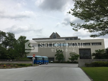 私立愛知学泉大学の画像1