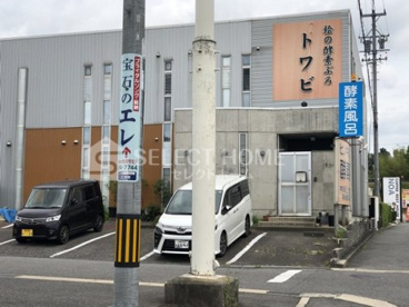トワビの画像1