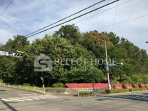竜美ヶ丘公園