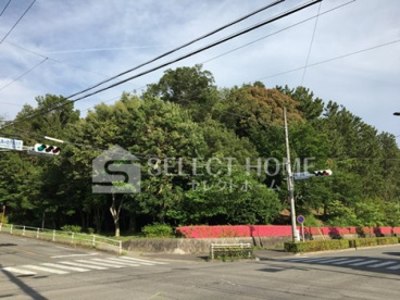 竜美ヶ丘公園の画像1