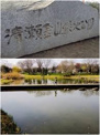 清瀬金山緑地公園