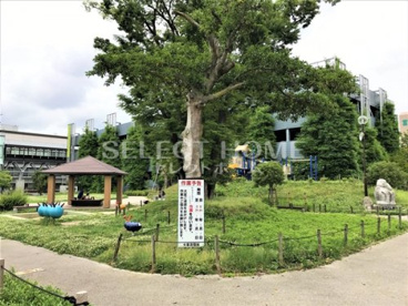十王公園の画像1