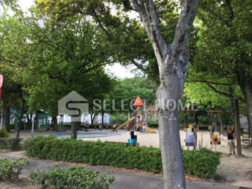 棚田公園の画像1