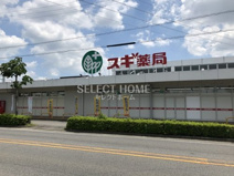 スギ薬局 岡崎北店
