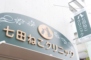 七田ねこクリニックの画像1