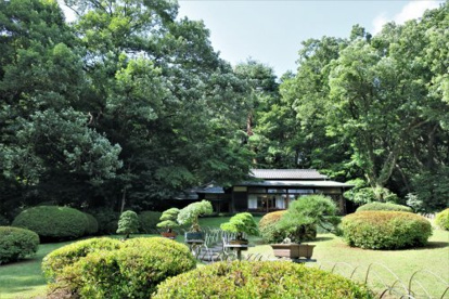 明治神宮御苑の画像1