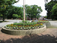 弥生公園の画像1