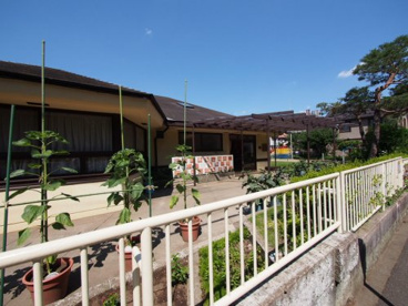 自由学園幼児生活団幼稚園の画像2